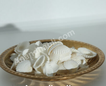 Oysters original - சிப்பிகள்