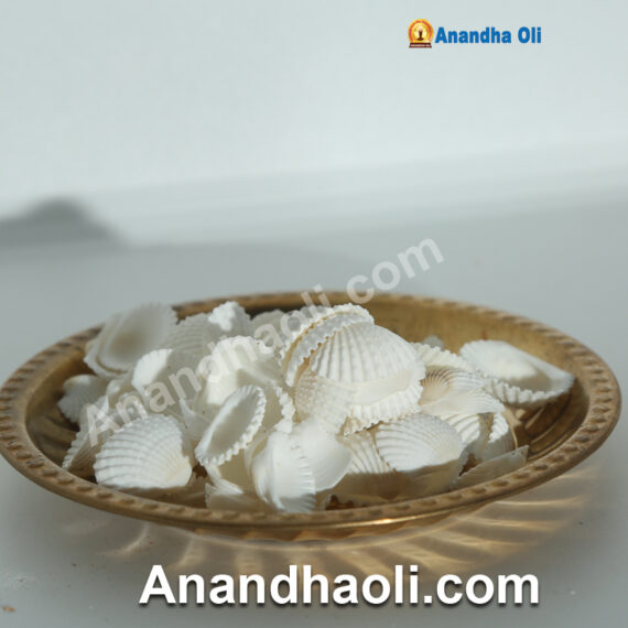 Oysters original - சிப்பிகள்